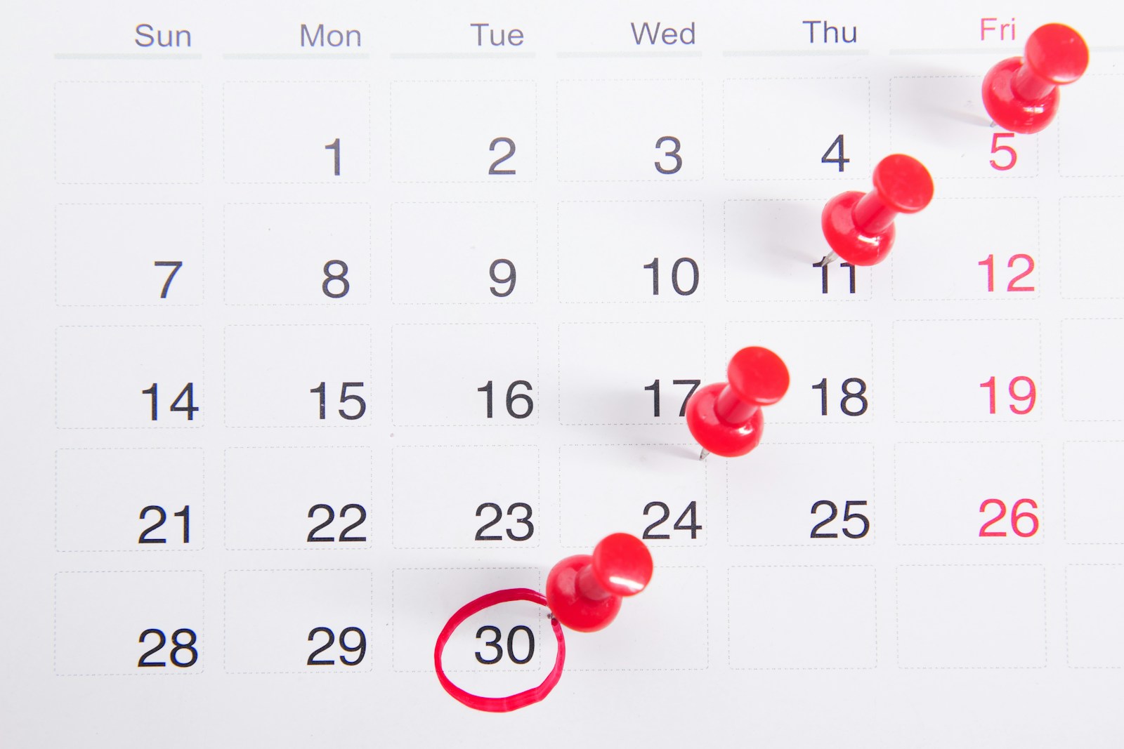 Non-renewed by your insurer? What happens next